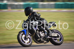 https://zellphoto.se/produkt/3631-2/